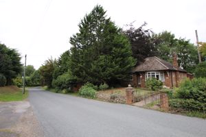 Photo 2- click for photo gallery